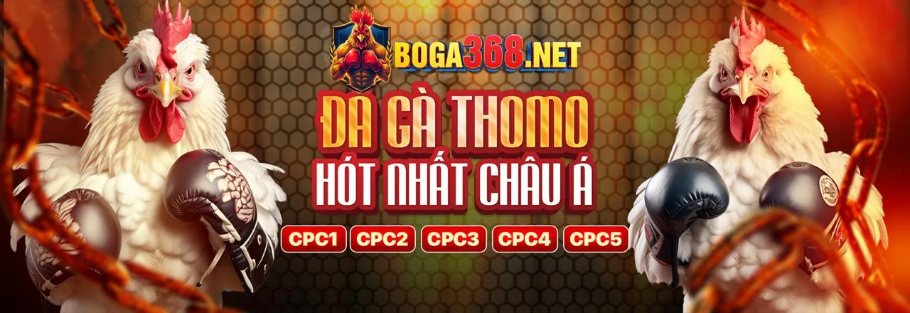 Biểu đồ thông tin về lợi ích của blog V8Bet